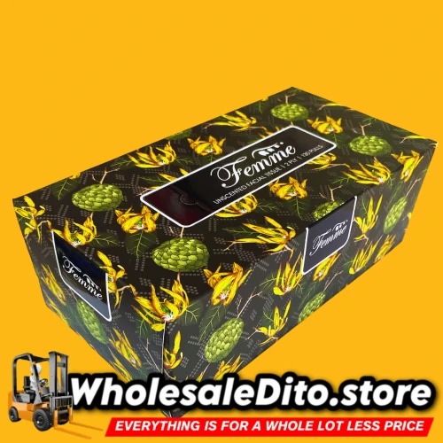 Buy Femme Econobox Facial Tissue at Wholesale Price