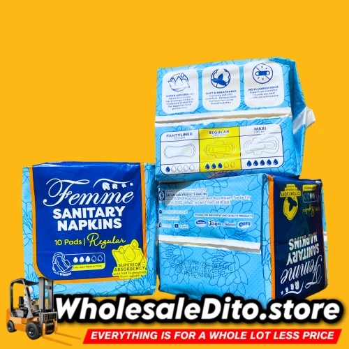 Buy Femme Sanitary Napkin With Wings Regular at Wholesale Price